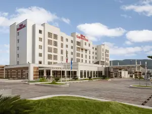 Hilton Garden Inn Tuxtla Gutierrez