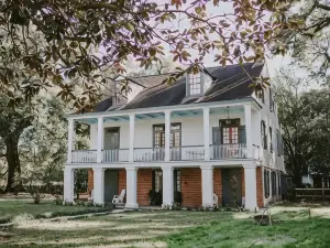 Maison Mouton Bed & Breakfast