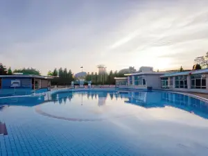 Hotel International