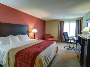 Quality Inn & Suites Pine Bluff
