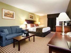 Best Western Plus Ottawa Kanata Hotel  Conference Centre