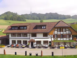 Alpenblick Ferenberg Bern
