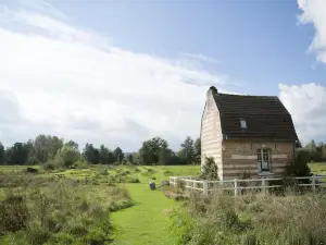 Les Aires en Scènes au Bord de l'Eau