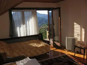 Guest House Pribojska Banja