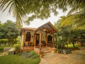 Brown Town Resort, Spa & Convention