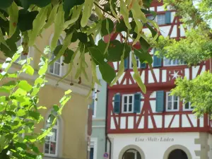 Bayerischer Hof