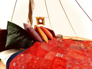 德里帳篷，豪華露營風格的b&b