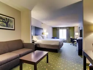 Holiday Inn Express & Suites Live Oak