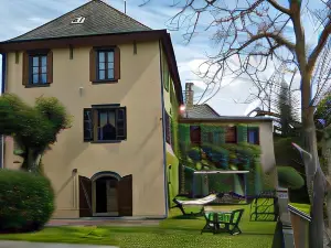 A l'Aube des Volcans