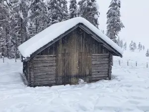 Person Holiday Home in Tisleidalen-by Traum