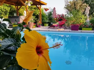 L'Hermine Occitane B&B