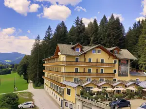 Hotel Liebes Nesterl Bergwirt