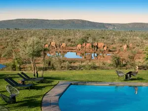Madikwe Safari Lodge