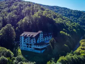 Hotel Valea cu Pesti