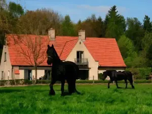 B&B Heerlijkhyd