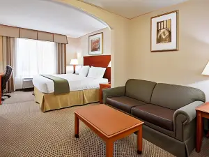 Holiday Inn Express & Suites Detroit North - Troy