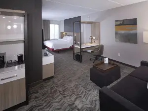 SpringHill Suites Newark Downtown