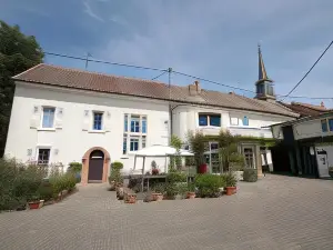 Bio-Weingut, Gästehaus Und Kräuterhof
