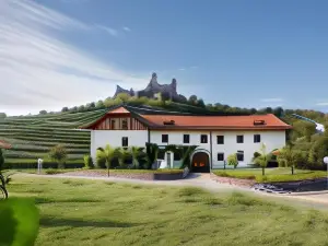 Weinhaus Nigl - Hotel, Restaurant Und Spa