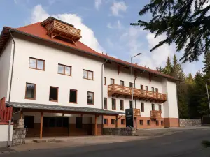 Castor
