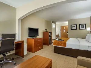 Comfort Inn & Suites Springfield I-44