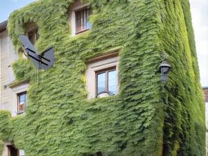 B&B dei Papi Boutique Hotel