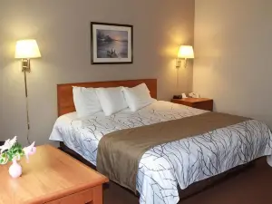 Edmore Inn