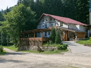 Barlogul Din Vidraru