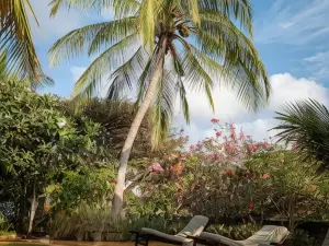 Banana House and Wellness Centre