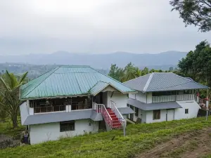 Punarjani Ayurvedic Resorts