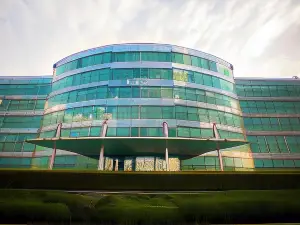 Арена