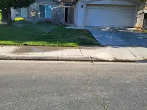 420 friendly. And quiet