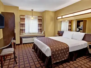Microtel Inn & Suites by Wyndham Cartersville