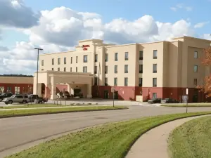 希爾頓歡朋酒店-託皮卡