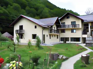 Pensiunea Ciobanelu