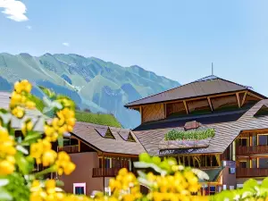 Hotel Montafoner Hof
