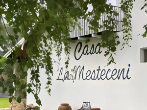 Country Club la Mesteceni