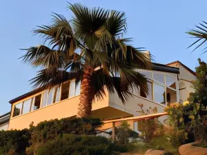 Hotel Mercurio Sul Mare - Fish Restaurant and Private Beach