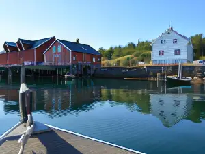 Skagakaia