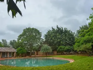 Our Native Village
