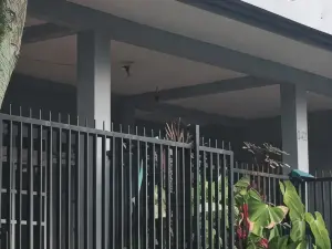 Relic Room House of Plants