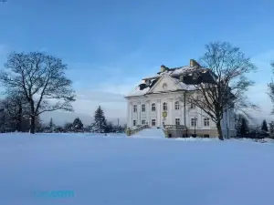 Hotel Pałac Borynia