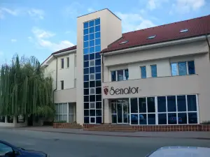 Hotel Senator