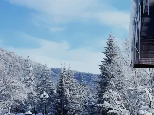 Hasi Hotel Jermuk
