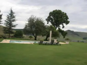 Elgin Guest House