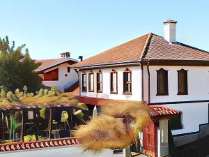 Iliikova House
