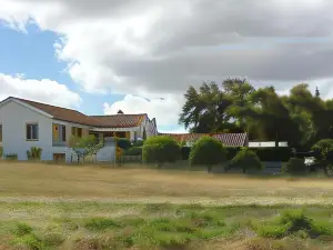 Casa Robusto