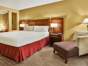 Holiday Inn Express & Suites Houston South - Pearland