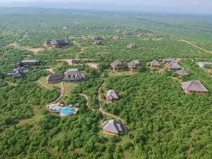Buffalo Safari Lodge