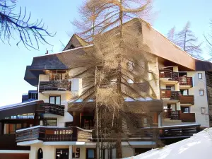 Hôtel les Trappeurs